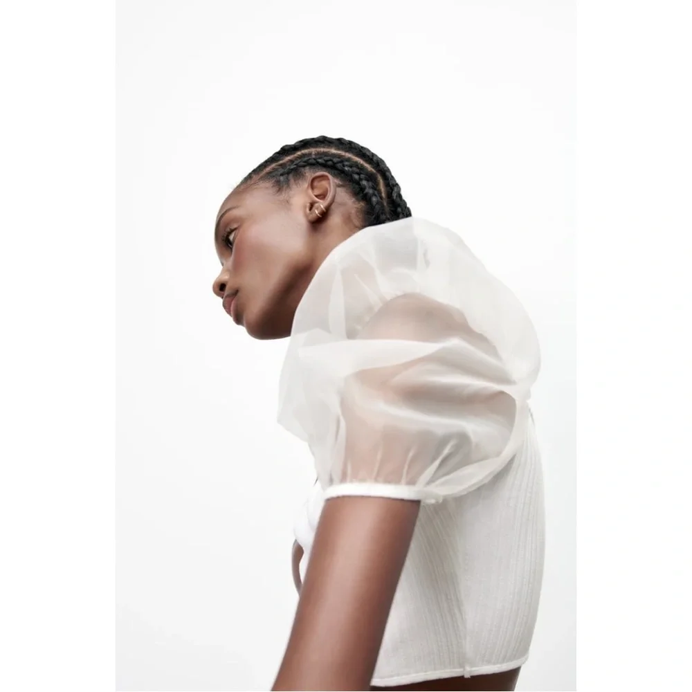 Zara Sheer Puff Sleeves Top with Organza Inserts - Picture 2 of 11